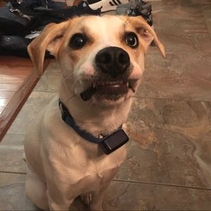 Meet your Posher, Stacy